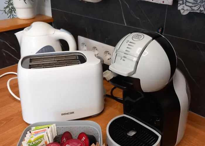 Gemini * 艾斯特根